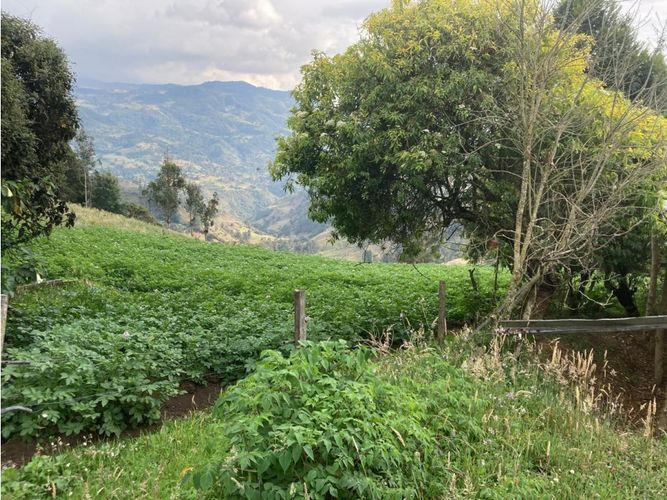 Finca en venta en La Polonia, La Calera, 200 m² · foto 2 de 7