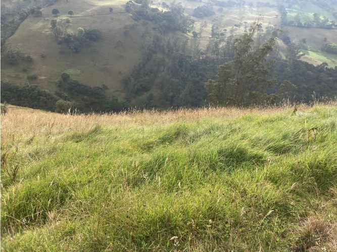 Finca en venta en La Polonia, La Calera, 200 m² · foto 5 de 7