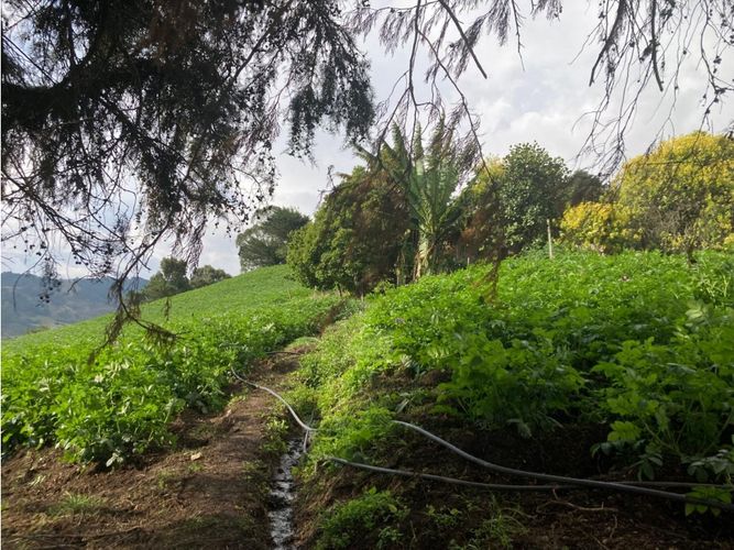 Finca en venta en La Polonia, La Calera, 200 m² · foto 7 de 7