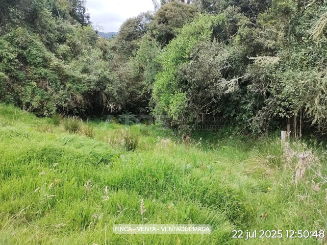 Finca en venta en Puente Poyaca, Tunja, 33779 m² · foto 8 de 10