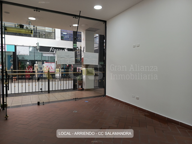 Local en arriendo en Centro Historico, Tunja, 22 m² · foto 4 de 6