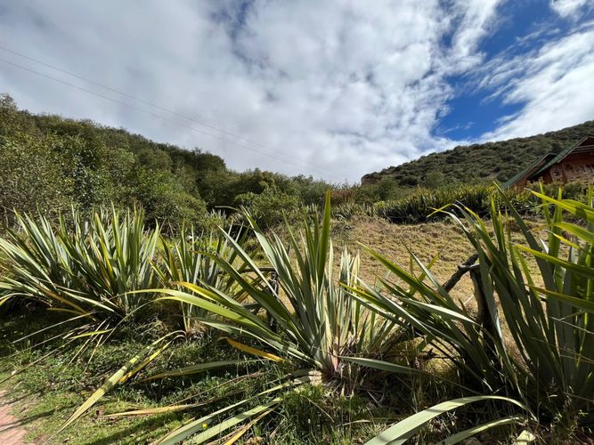 Lote en venta en Tras Del Alto, Tunja, 1114 m² · foto 7 de 24