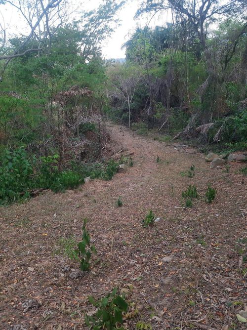 Lote en venta en Hsd. San Antonio De Carrizal, Girón, 6810 m² · foto 13 de 13