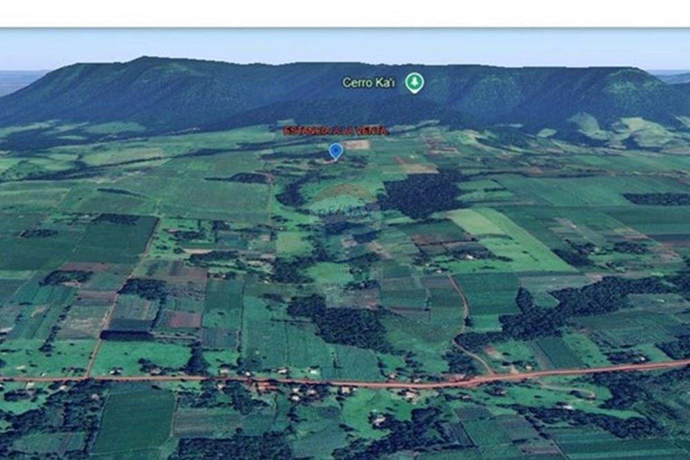 VENDO ESTANCIA GANADERA Y AGROPECUARIA. — foto 2