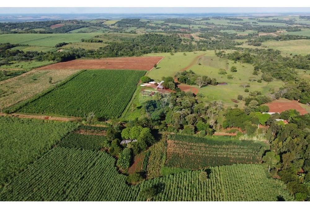 VENDO ESTANCIA GANADERA Y AGROPECUARIA. — foto 3