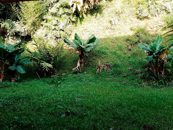 Casa de 4 alcobas en venta en El Tesoro, Medellín, 450 m² · foto 17 de 17