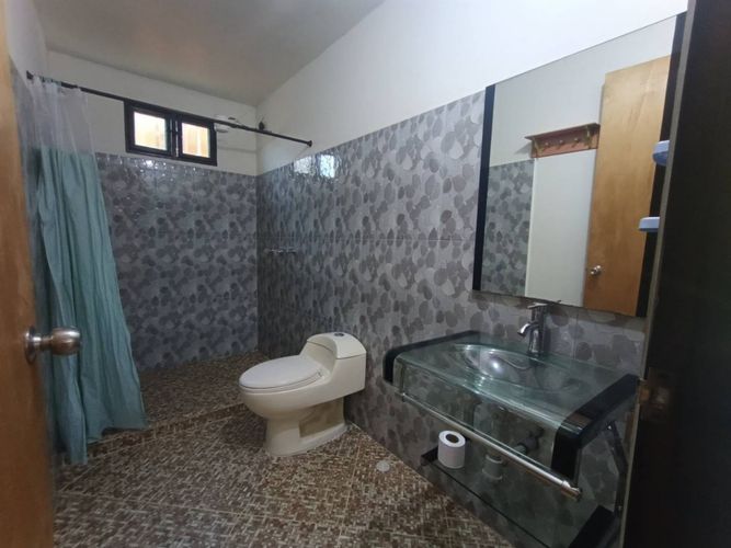 Finca en arriendo en Cristo Rey, El Carmen de Viboral, 220 m² · foto 5 de 24
