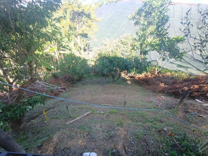 Finca en arriendo en Cristo Rey, El Carmen de Viboral, 220 m² · foto 13 de 24