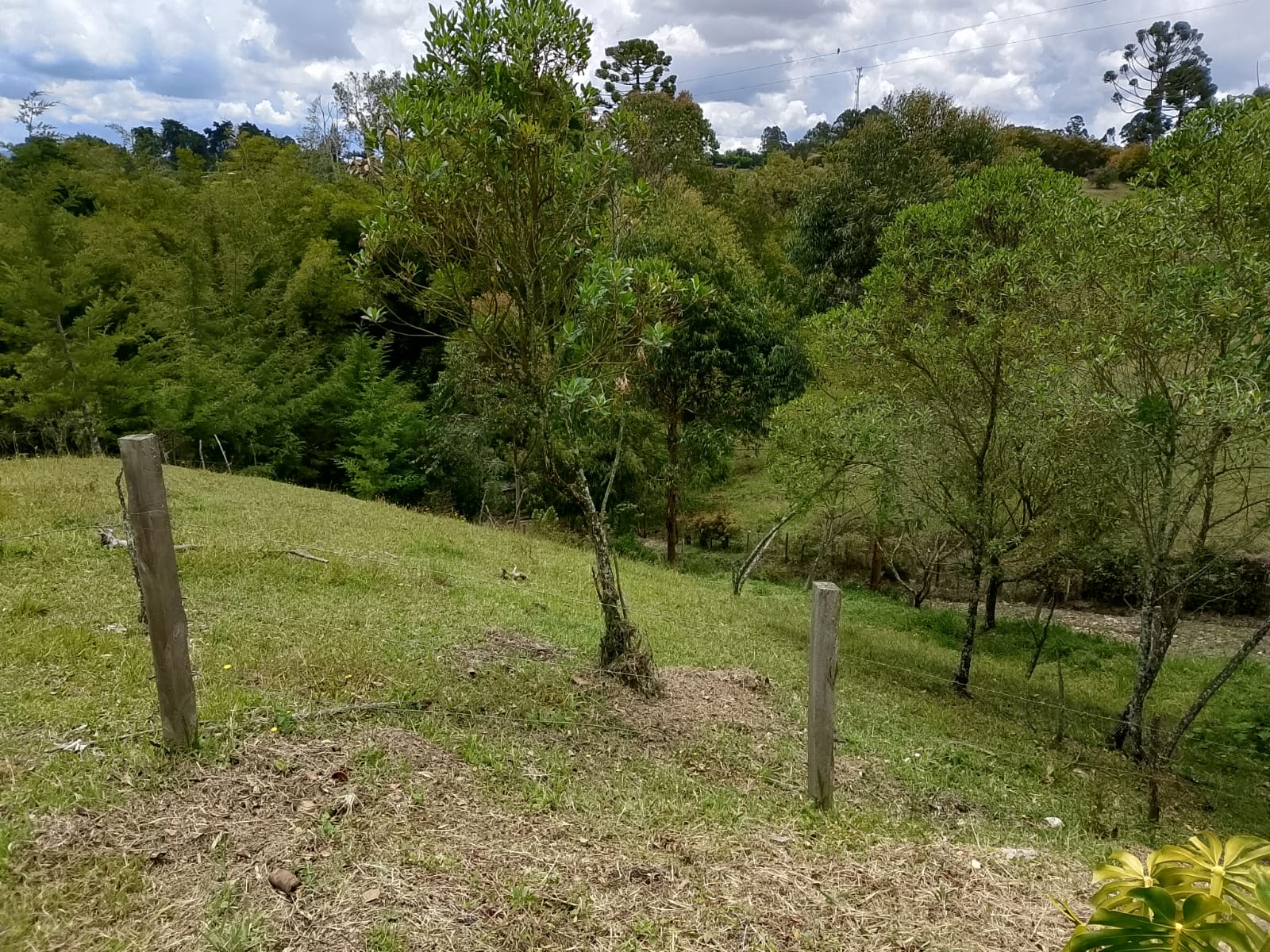 Land in San Antonio de Pereira (3350 m²) for Sale - 2