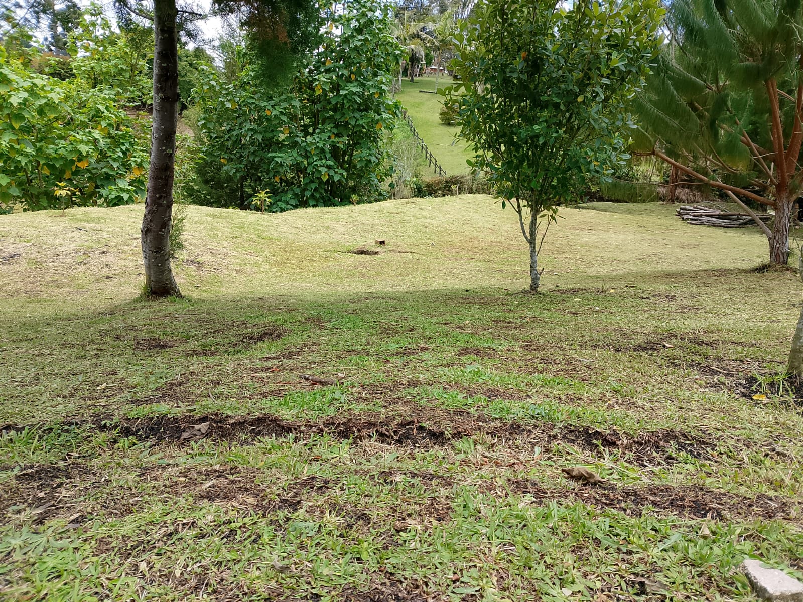 Land in San Antonio de Pereira (3350 m²) for Sale - 3