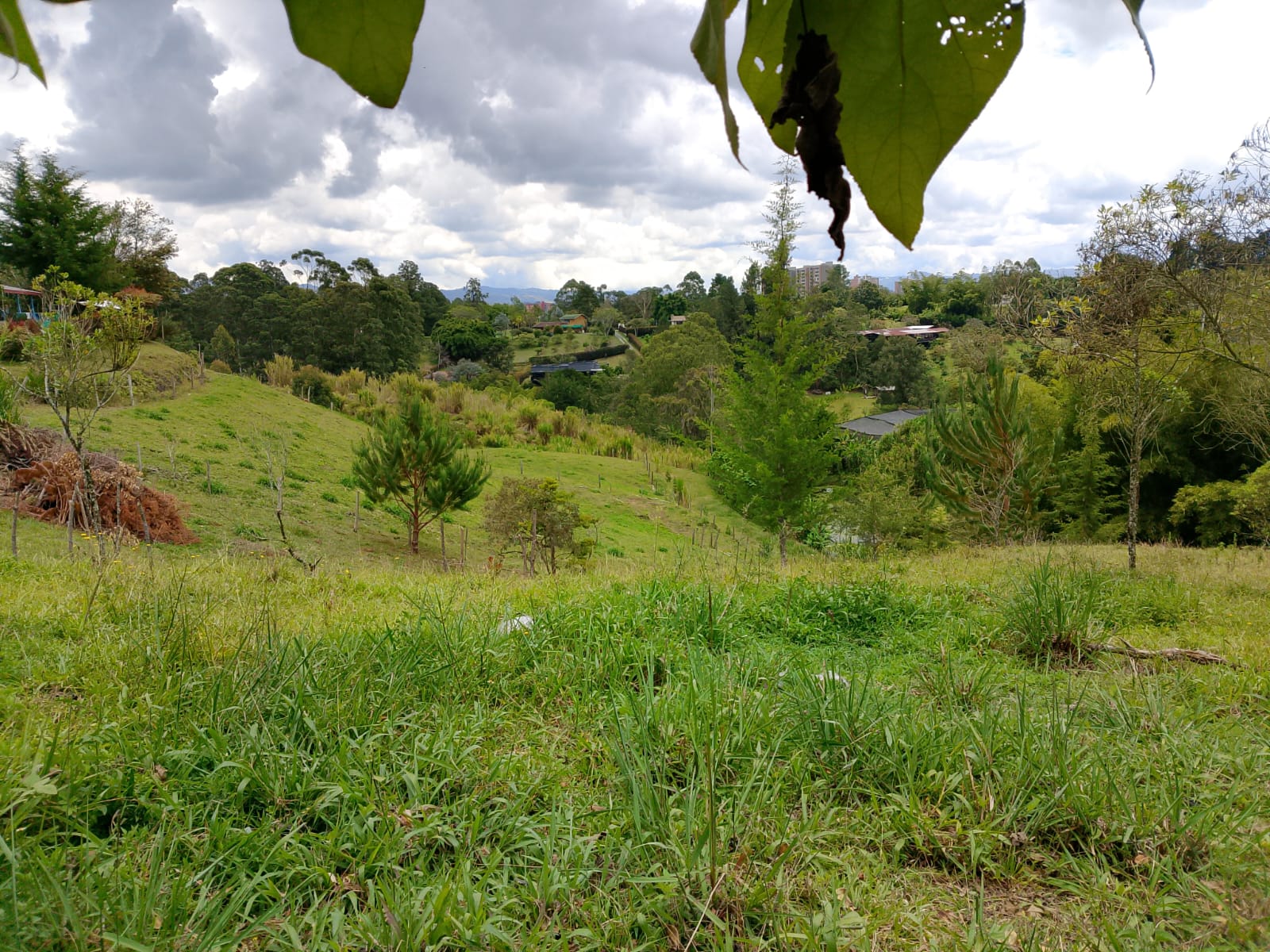 Land in San Antonio de Pereira (3350 m²) for Sale - 4