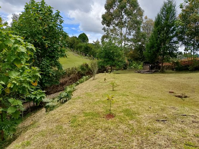 Lote en venta en San Antonio De Pereira, Rionegro, 3350 m² · foto 5 de 10