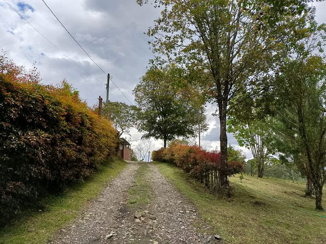 Lote en venta en San Antonio De Pereira, Rionegro, 3350 m² · foto 8 de 10
