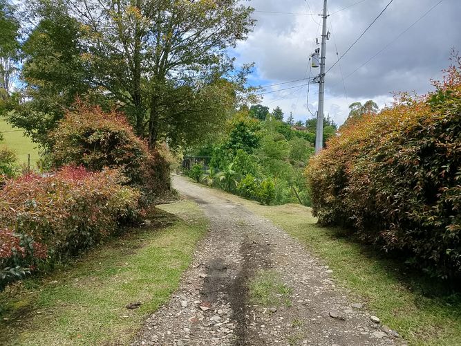 Lote en venta en San Antonio De Pereira, Rionegro, 3350 m² · foto 9 de 10