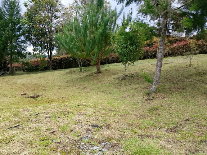 Lote en venta en San Antonio De Pereira, Rionegro, 3350 m² · foto 10 de 10