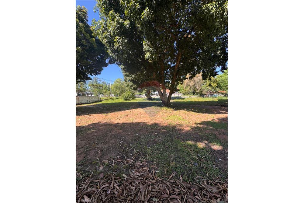 Terreno en Venta — foto 3