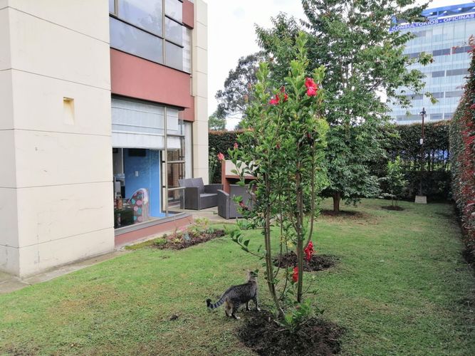 Casa de 4 alcobas en venta en Bojaca, Chía, 241 m² · foto 14 de 14