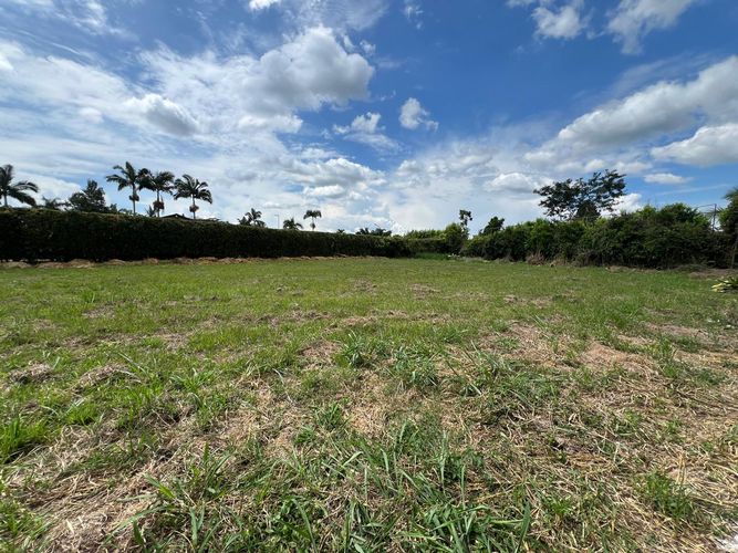 Lote en venta en Cerritos, Pereira, 2177 m² · foto 5 de 6