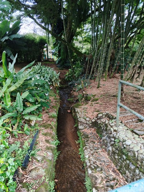 Casa de 3 alcobas en venta en Chorro De La Plata, Cali · foto 7 de 24