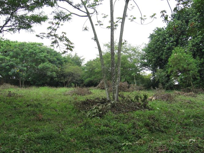 Lote en venta en Pance Bajo, Cali, 30 m² · foto 2 de 5