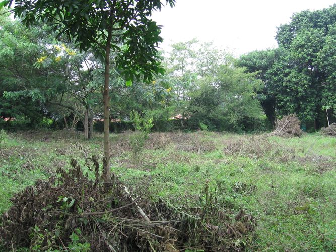 Lote en venta en Pance Bajo, Cali, 30 m² · foto 4 de 5