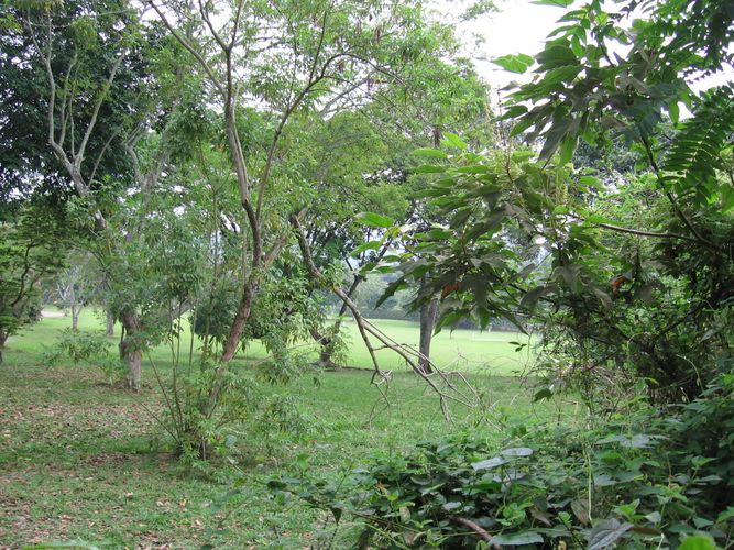 Lote en venta en Pance Bajo, Cali, 30 m² · foto 3 de 5