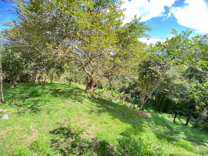 Finca en arriendo en La Ceja, 150 m² · foto 5 de 20