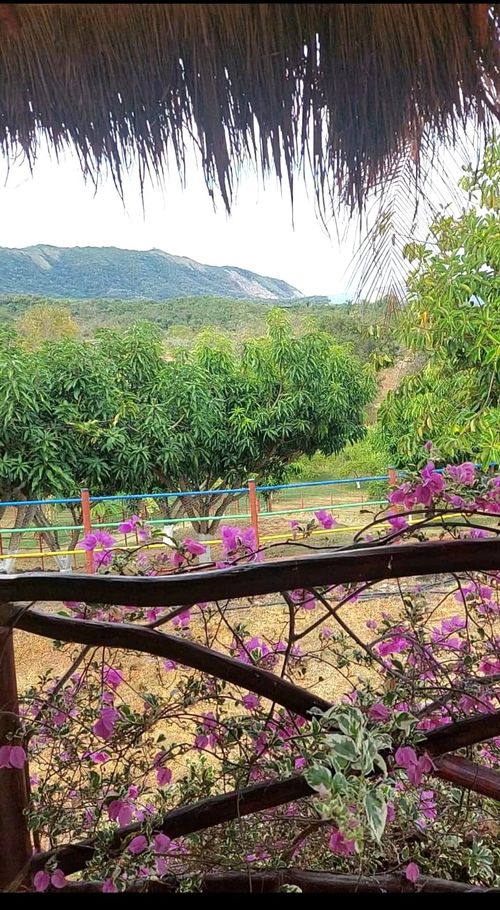 Finca en venta en Las Varas, Ricaurte, 13736 m² · foto 10 de 13