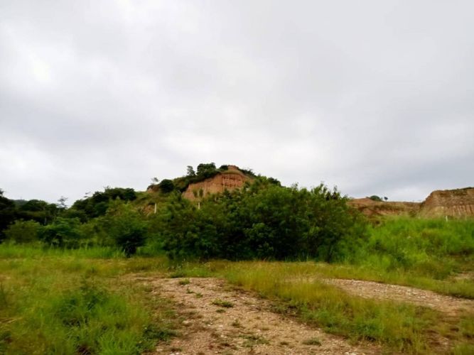 Lote en venta en San Antonio Del Carrizal, Bucaramanga, 8050 m² · foto 5 de 5
