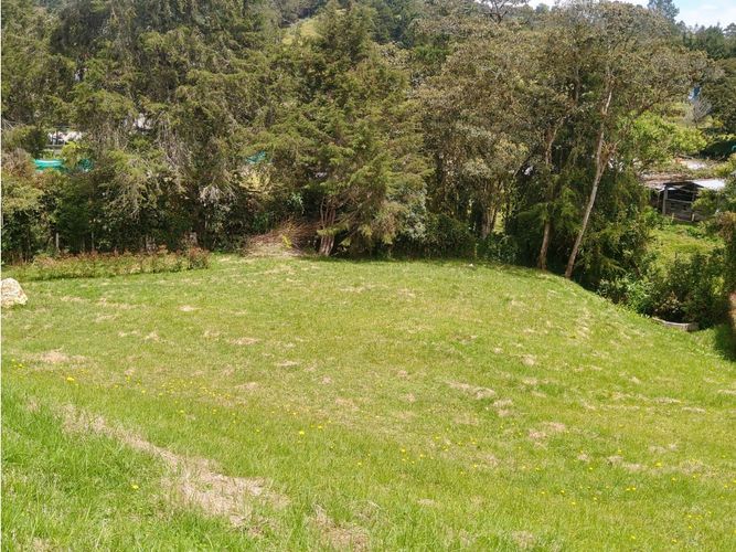 Lote en venta en Las Palmas, Envigado, 2355 m² · foto 4 de 7