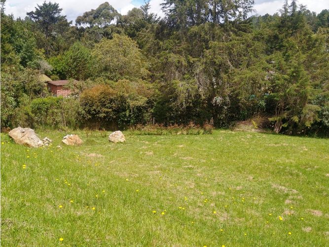 Lote en venta en Las Palmas, Envigado, 2355 m² · foto 5 de 7
