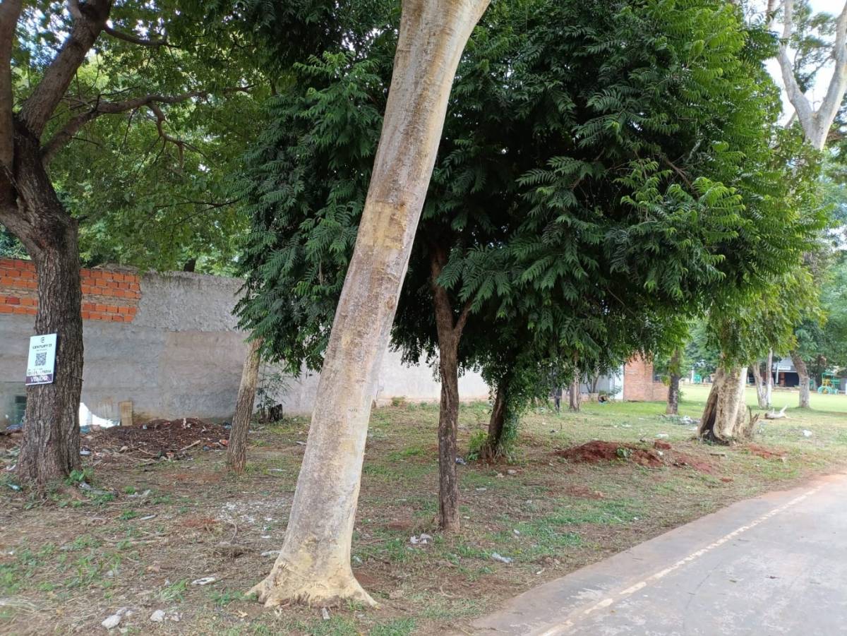 VENDO TERRENO EN BARRIO RESIDENCIAL DE ROQUE ALONSO A 400 M DE LA TRANSCHACO — foto 2