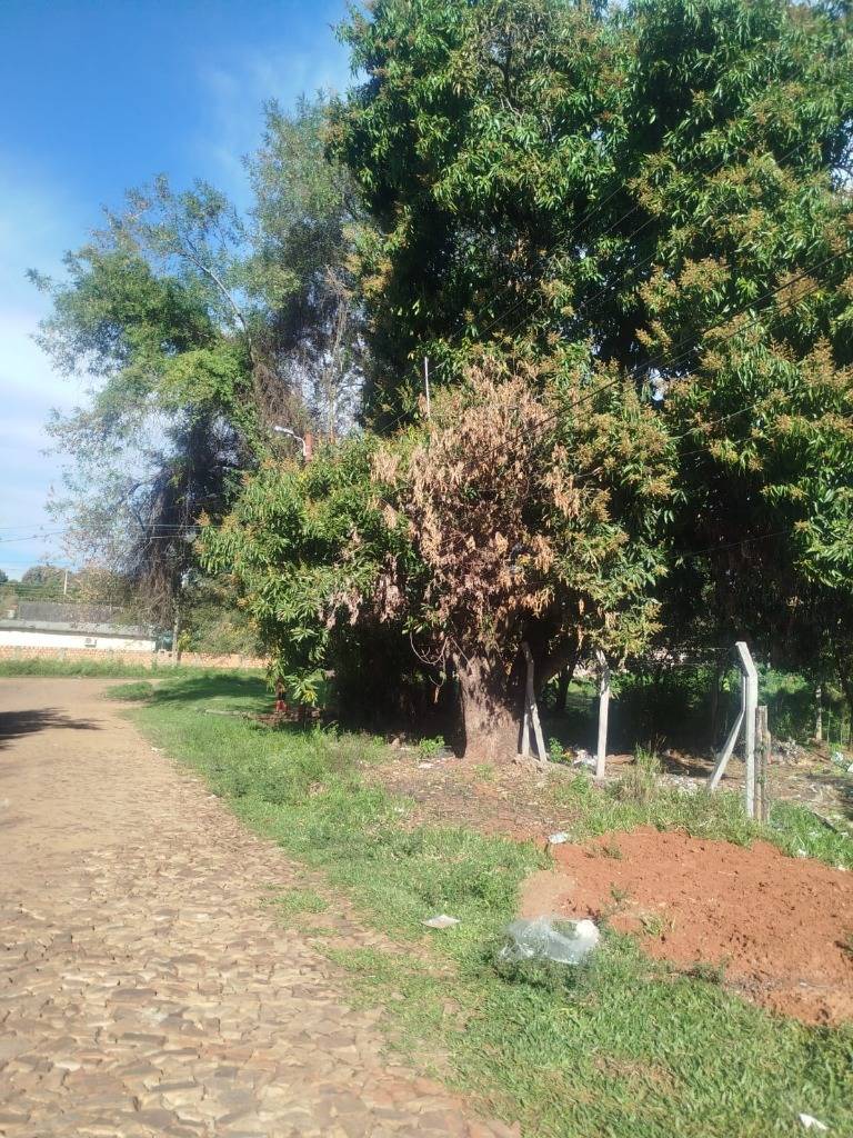 VENDO TERRENO EN SAN LORENZO — foto 2