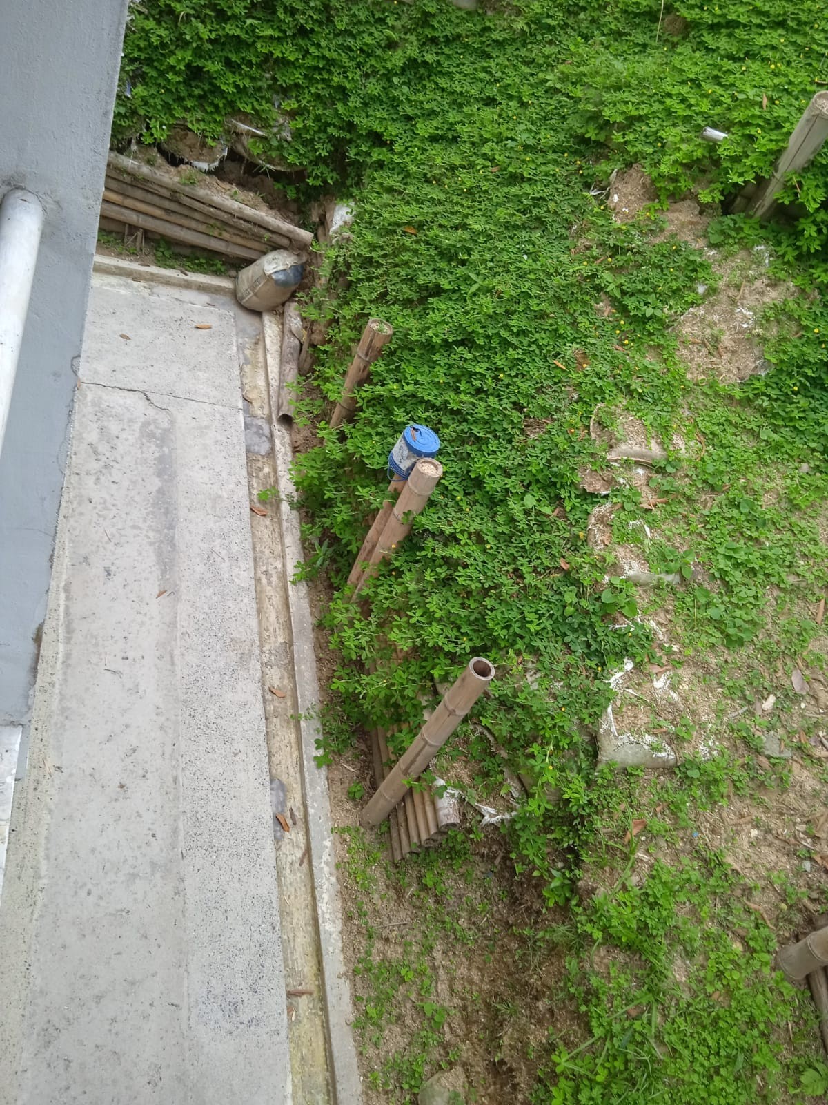 Casa en venta en San Peregrino, Manizales · foto 15 de 23