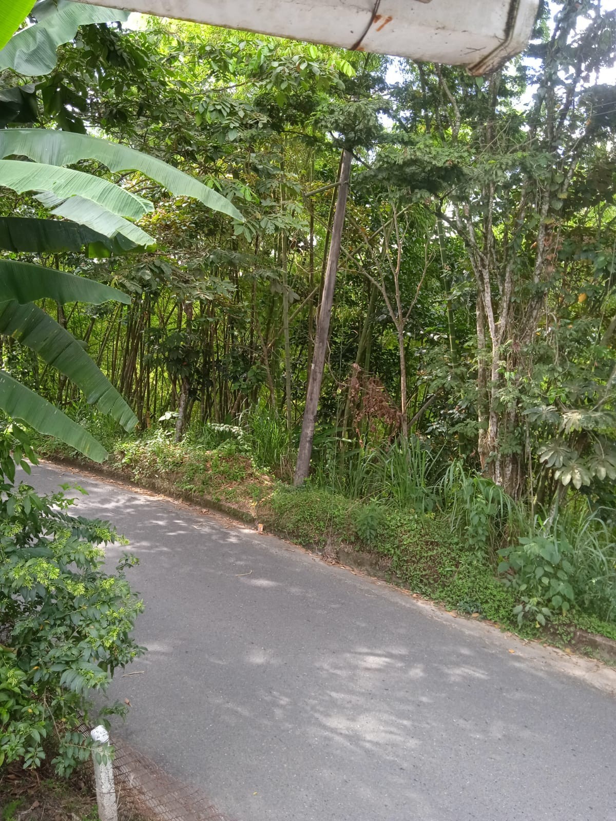 Casa en venta en San Peregrino, Manizales · foto 19 de 23