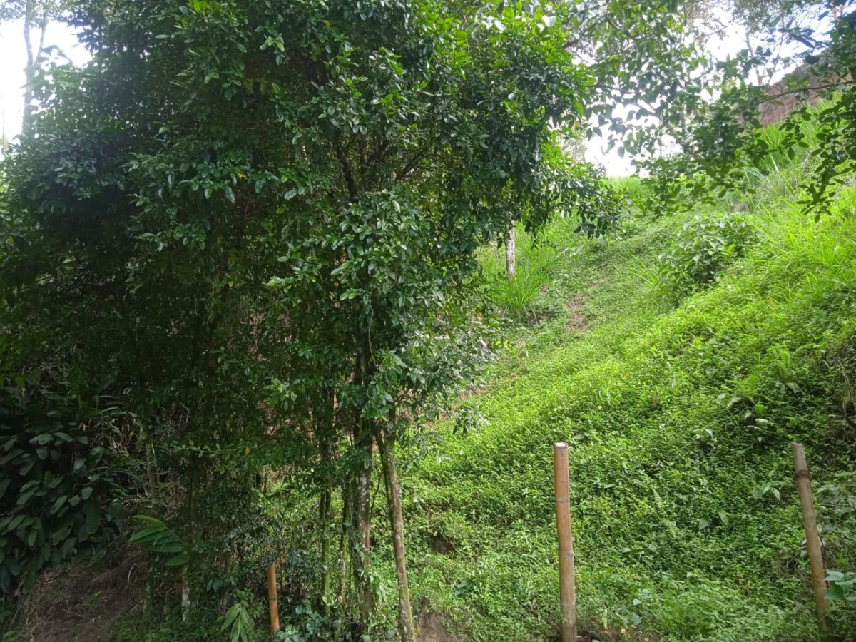 Casa en venta en San Peregrino, Manizales · foto 23 de 23