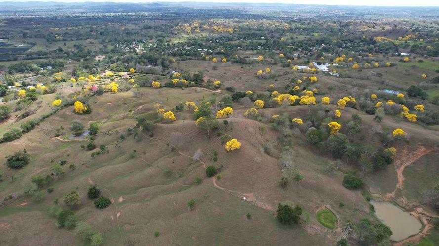 Finca en venta en Km12, Montería · foto 2 de 6