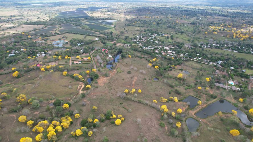 Finca en venta en Km12, Montería · foto 4 de 6