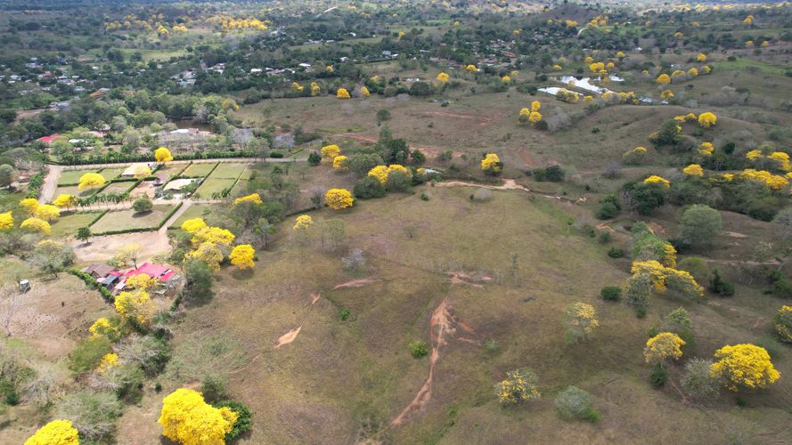 Finca en venta en Km12, Montería · foto 6 de 6