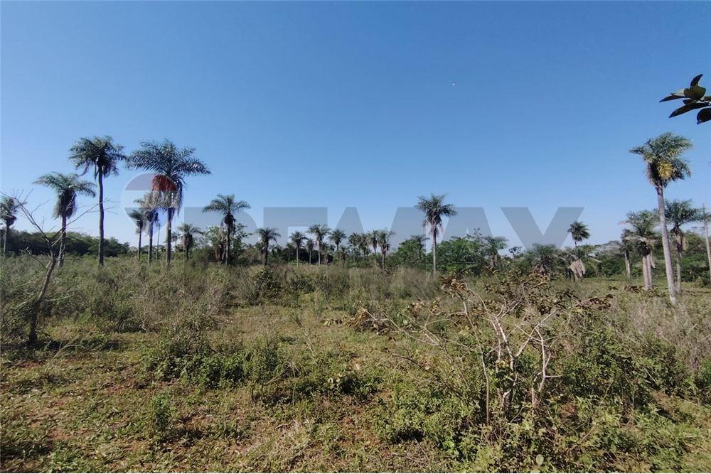 EN VENTA 3,7 HECTAREAS EN NVA COLOMBIA CORDILLERA — foto 2