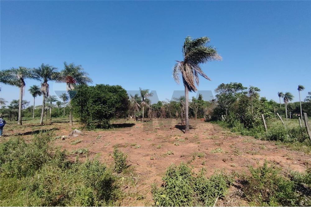 EN VENTA 3,7 HECTAREAS EN NVA COLOMBIA CORDILLERA — foto 3