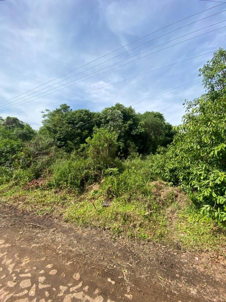 Venta de Terreno en San Bernardino, Cordillera — foto 2