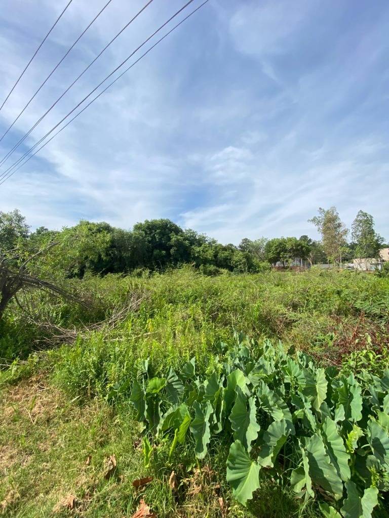 Venta de Terreno en San Bernardino, Cordillera — foto 3