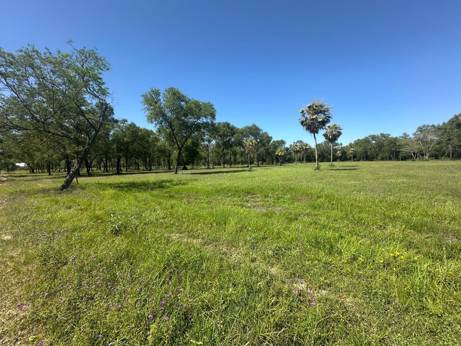 VENTA 10 Y 20 HA EN CHACO-I   LA MEJOR UBICACION !! — foto 2