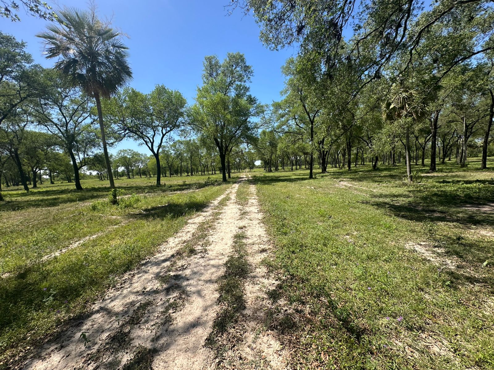 VENTA 10 Y 20 HA EN CHACO-I   LA MEJOR UBICACION !! — foto 3