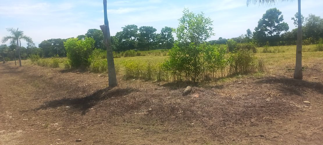 Lote en venta en Bella Suiza, Villavicencio, 800 m² · foto 21 de 24