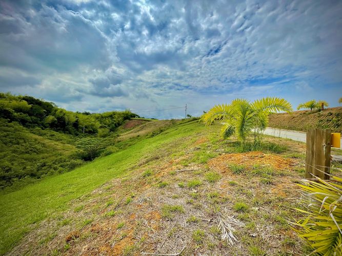 Lote en venta en Cerritos, Pereira · foto 4 de 5