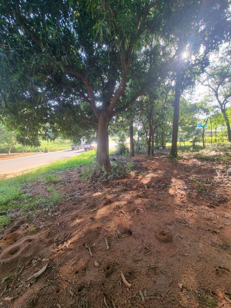 VENDO Terreno en Esquina en Luque — foto 2