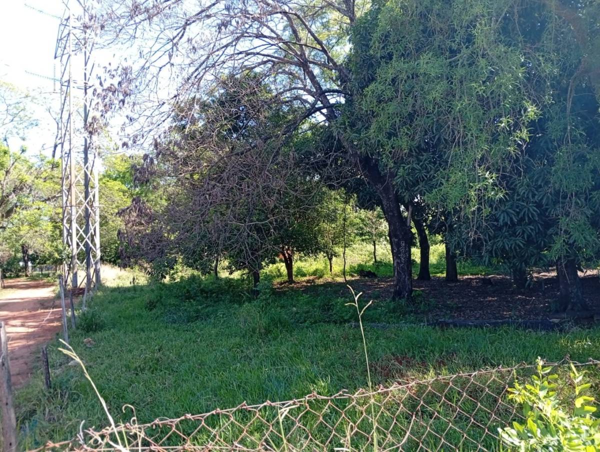 Exclusivo Terreno de 1667 m² en Isla Bogado, Luque: ¡Tu Oportunidad de Inversión o el Hogar de Tus Sueños! — foto 3