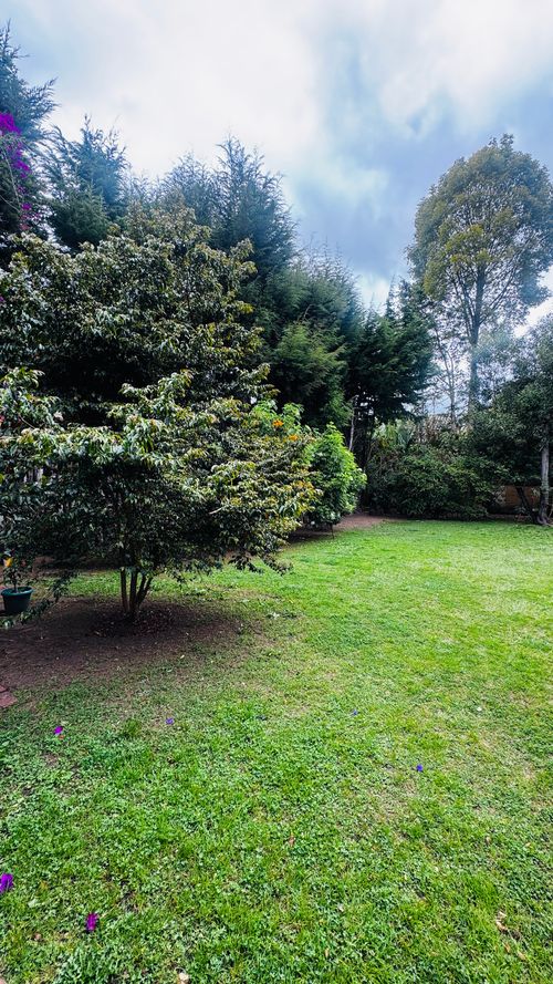 Lote en venta en El Cairo, Chía, 640 m² · foto 4 de 8